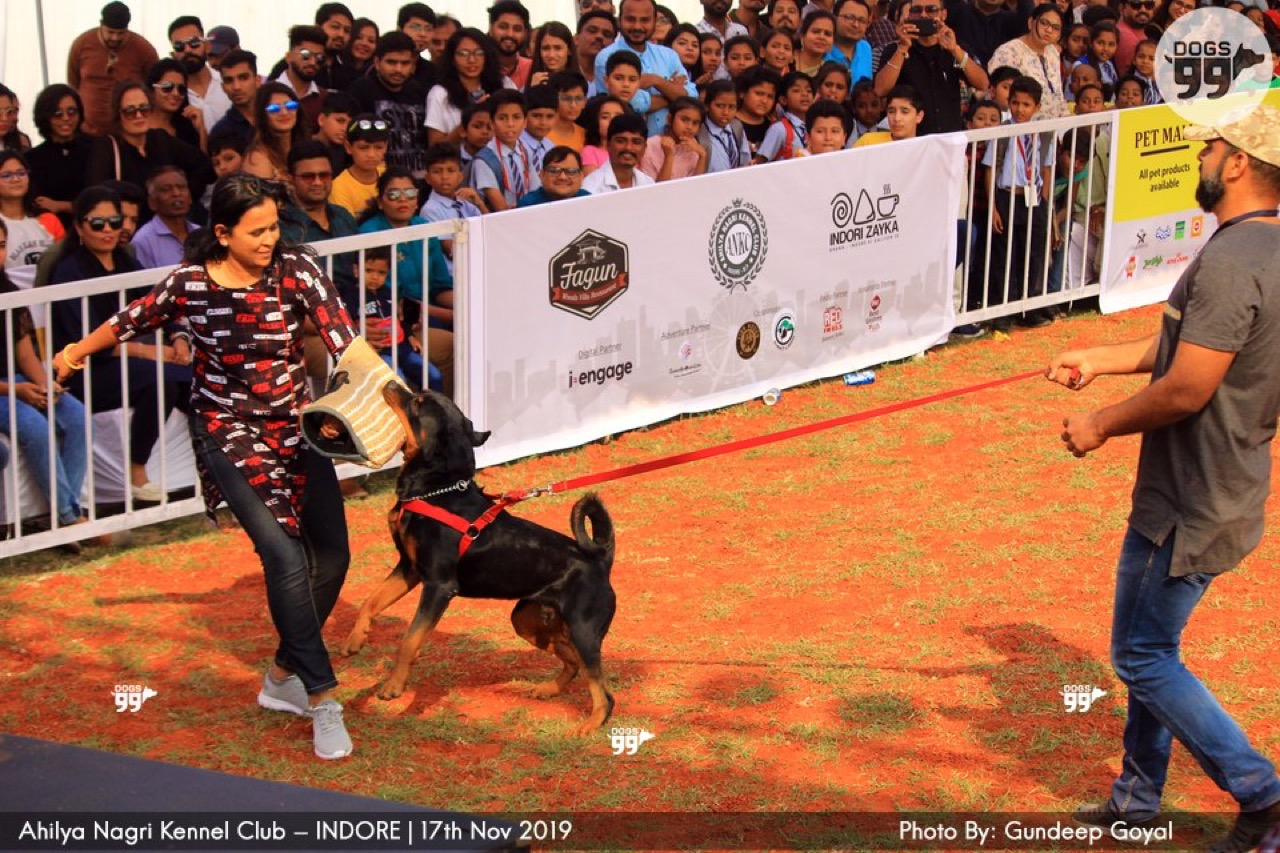 Furventures - Pet Adventures & Events - Photo 20